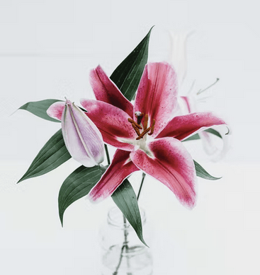 K - 45 ans - Paris - Beauvais